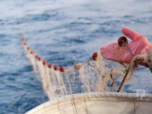Balıkesirli balıkçılar, dümeni Ege Denizi'ne çevirdi