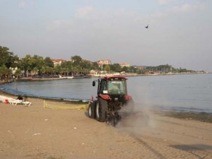Yalova'da plaj temizliği devam ediyor