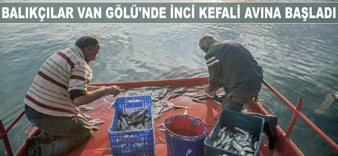 Balıkçılar Van Gölü'nde inci kefali avına başladı