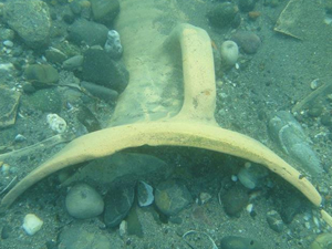 Karadeniz'de 4 batık gemi incelemeye alındı