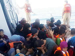 Çanakkale'nin Ayvacık ilçesinde 54 kaçak yakalandı