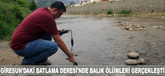 Giresun'daki Batlama Deresi'nde balık ölümleri gerçekleşti