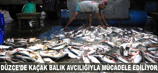 Düzce'de kaçak balık avcılığıyla mücadele ediliyor