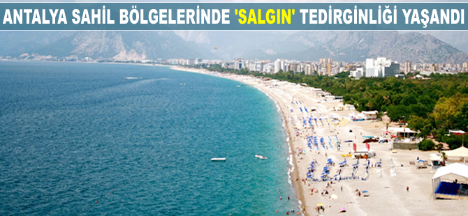 Antalya sahil bölgelerinde 'salgın' tedirginliği yaşandı