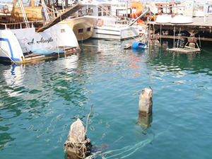 Mağusa Limanı’nda çöken iskele yıkılacak