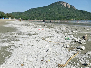 Hong Kong’da çevre faciası yaşanıyor