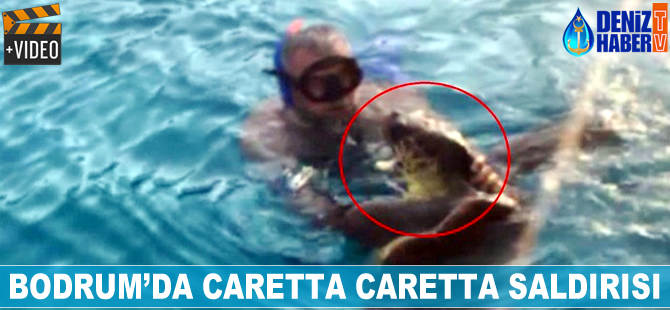 Caretta Caretta yine saldırdı