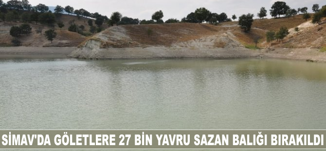 Simav'da göletlere 27 bin yavru sazan balığı bırakıldı