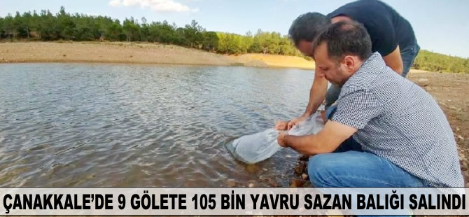 Çanakkale'de 9 gölete 105 bin yavru sazan balığı salındı