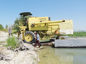 Hasat için biçerdöverini gölde yüzdürdü