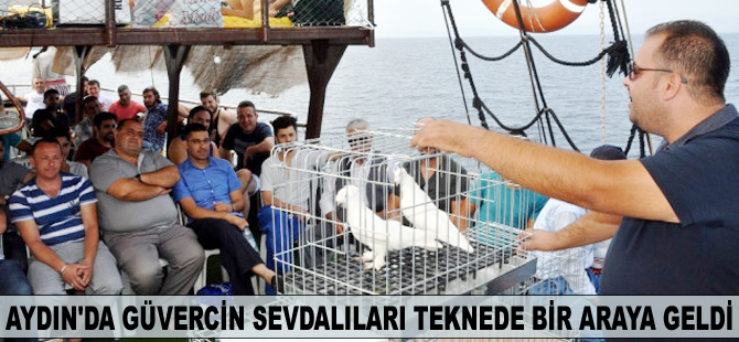 Aydın'da güvercin sevdalıları teknede bir araya geldi