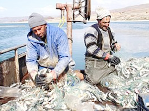 Av sezonu öncesi 8 bin vat kaygısı