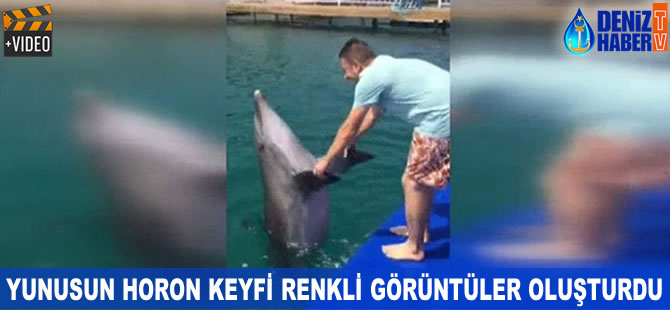 Sevimli yunusun horon keyfi