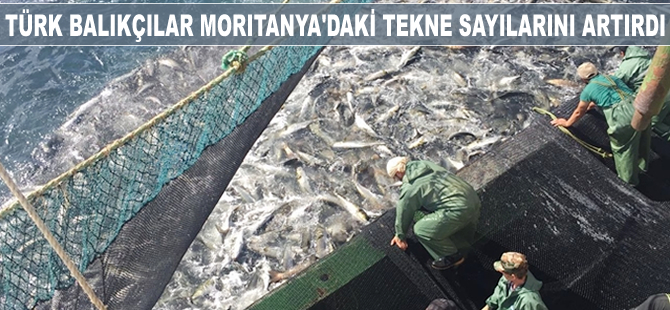 Türk balıkçılar Moritanya'daki tekne sayılarını artırdı