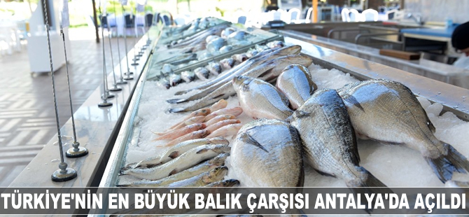 Türkiye'nin en büyük balık çarşısı Antalya'da açıldı