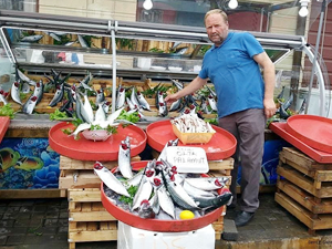 Balıkçılar bu sezon palamuttan umutlu