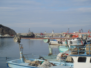 Kandıra Bağırganlı'ya balıkçı barınağı yapılacak