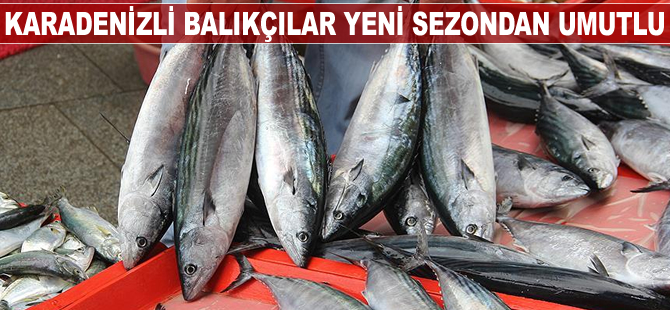 Karadenizli balıkçılar yeni sezondan umutlu