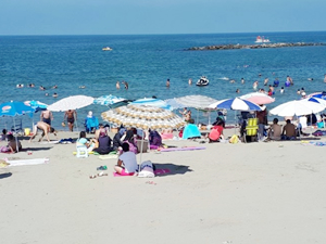 Sakarya'da cankurtaran ekipleri 1246 kişiyi kurtardı