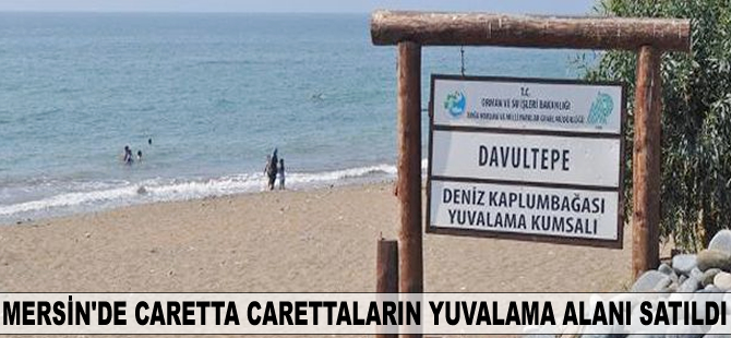 Mersin'de Caretta Carettaların yuvalama alanı satıldı