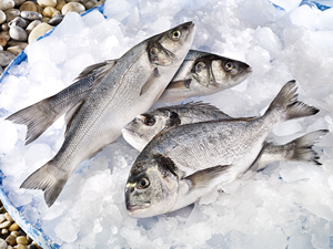 Türkiye su ürünleri ihracatında yönünü Çin’e çevirdi