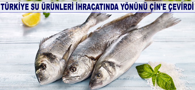 Türkiye su ürünleri ihracatında yönünü Çin’e çevirdi