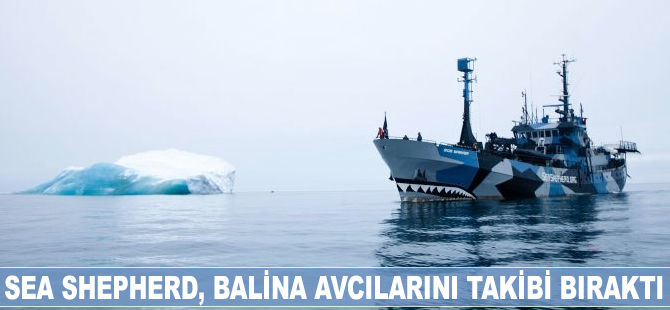 SEA SHEPHERD, Japon balina avcılarını takibi bıraktı