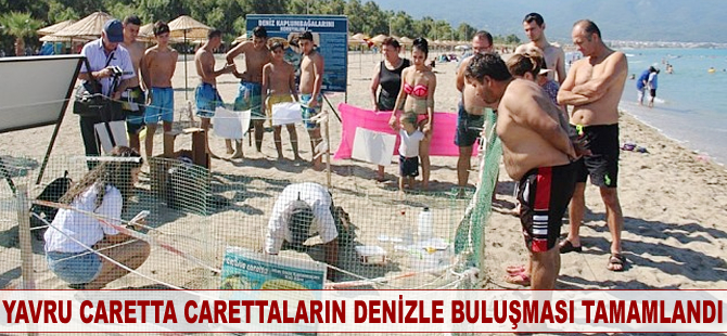 Yavru Caretta Carettaların denizle buluşması tamamlandı