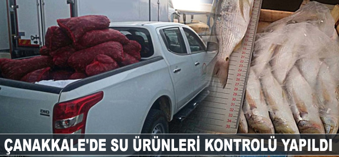 Çanakkale'de su ürünleri kontrolü yapıldı