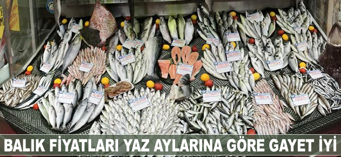Balık fiyatları yaz aylarına göre gayet iyi