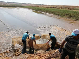 Atatürk Barajı balık üretimine katkı sağlıyor
