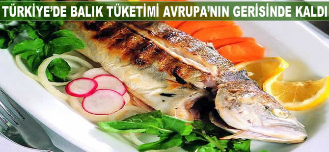 Türkiye'de balık tüketimi Avrupa'nın gerisinde kaldı
