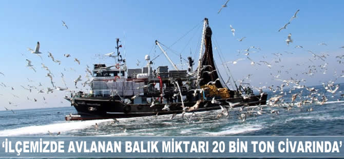 'İlçemizde avlanan balık miktarı 20 bin ton civarında'