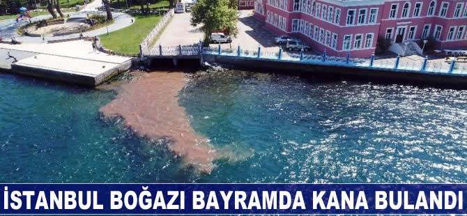 İstanbul Boğazı bayramda kana bulandı!