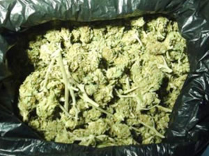 Tur teknesi arızalandı, 700 kilo esrar ele geçirildi!