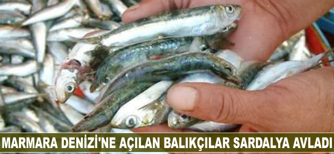 Marmara Denizi'ne açılan balıkçılar sardalya avladı
