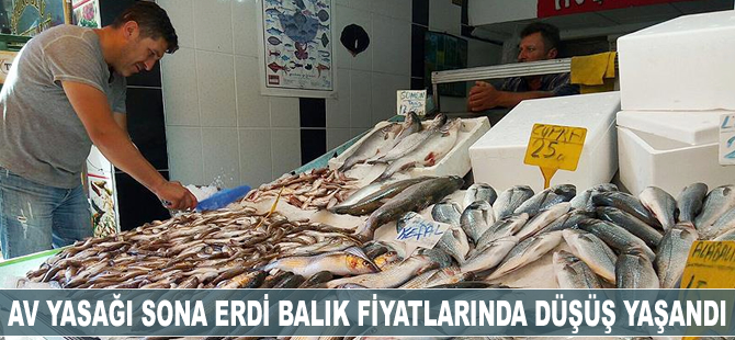 Av yasağı sona erdi balık fiyatları düştü