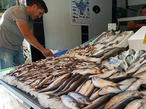 Av yasağı sona erdi balık fiyatları düştü