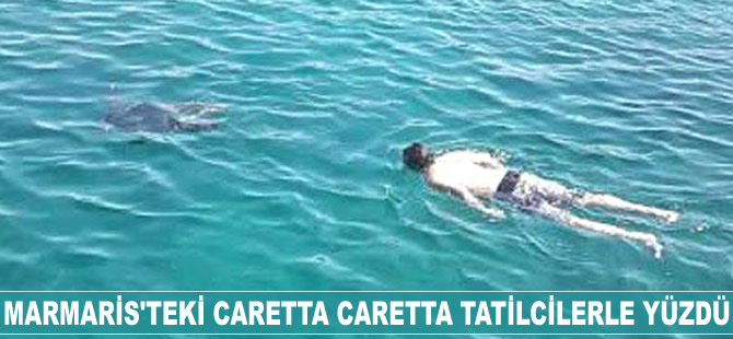 Marmaris'teki Caretta Caretta tatilcilerle yüzdü