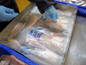 Türkiye balık tüketiminde dünya ortalamasının gerisinde kaldı