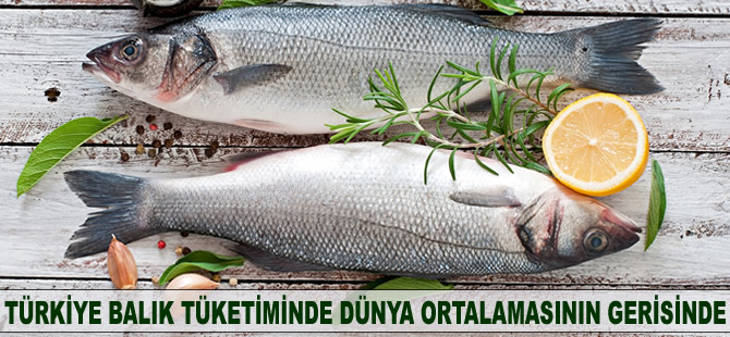 Türkiye balık tüketiminde dünya ortalamasının gerisinde kaldı