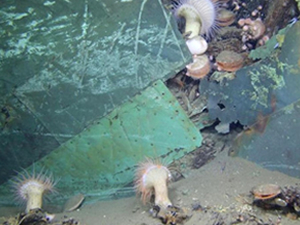 Titanik gemisinin enkazı yakında yok olacak