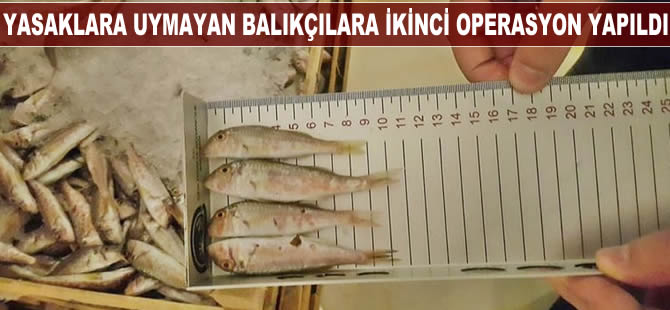Balık boyu sınırına uymayan balıkçılara ikinci operasyon yapıldı