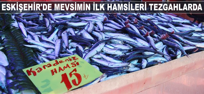 Eskişehir’de mevsimin ilk hamsileri tezgahlarda yerini aldı