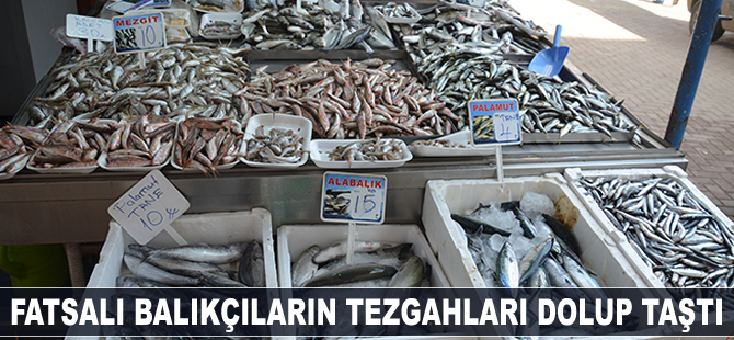 Fatsalı balıkçıların tezgahları dolup taştı