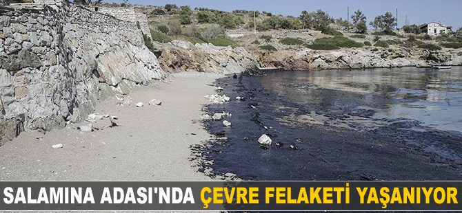Salamina Adası'nda çevre felaketi yaşanıyor