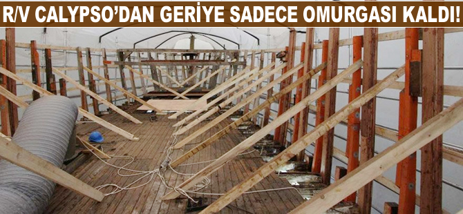 Affet bizi Kaptan Cousteau!