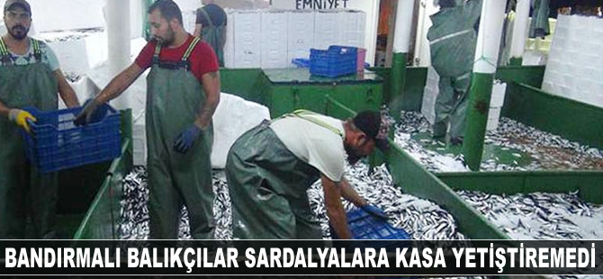 Bandırmalı balıkçılar sardalyalara kasa yetiştiremedi