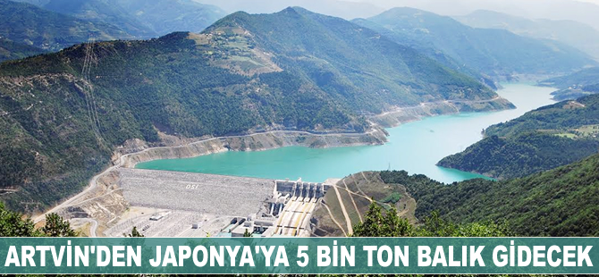 Artvin'den Japonya'ya 5 bin ton balık gidecek