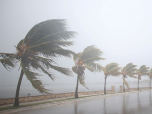 ABD sahil kentlerinde Jose kasırgası bekleniyor